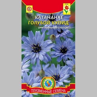 Катананхе Голубой купид