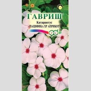 Катарантус Пацифика XP Априкот