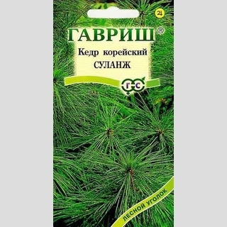 Кедр Суланж корейский