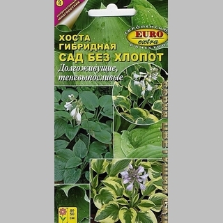 Хоста Сад без хлопот гибридная смесь