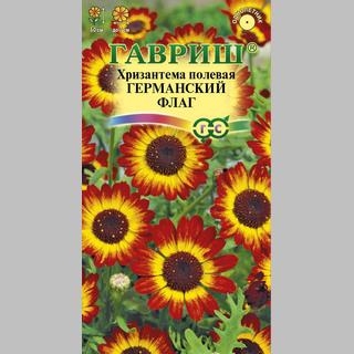 Хризантема Германский флаг