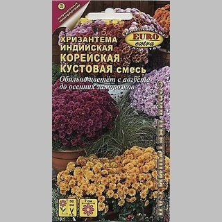 Хризантема Индийская Корейская кустовая