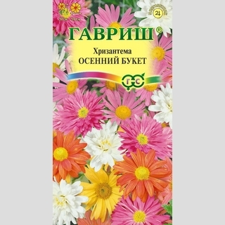 Хризантема Осенний букет индийская