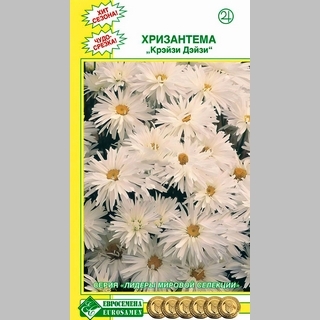 Хризантема Крейзи Дейзи