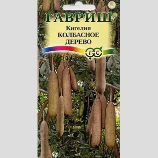 Кигелия Колбасное дерево