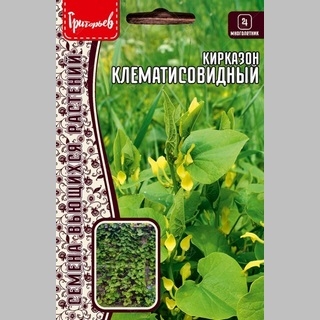 Кирказон Клематисовидный (большой пакет)