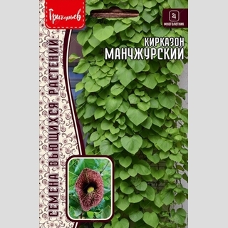 Кирказон манчжурский (большой пакет)