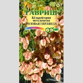 Кёльрейтерия Розовая гирлянда метельчатая