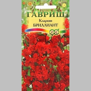 Кларкия Бриллиант