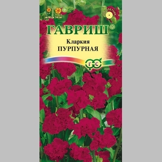 Кларкия Пурпурная