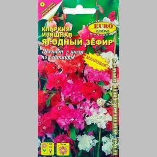 Кларкия Ягодный зефир