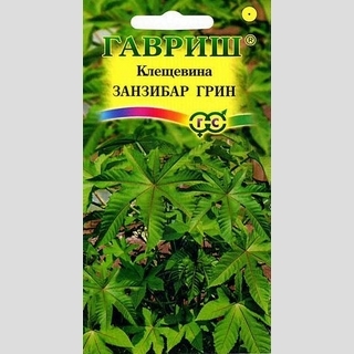 Клещевина Занзибар Грин