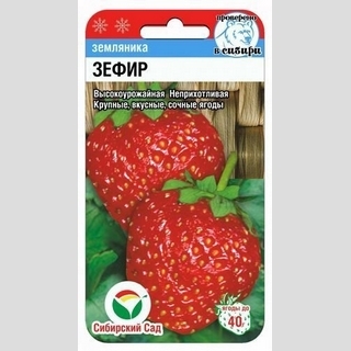 Земляника Зефир