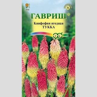 Книфофия Тукка