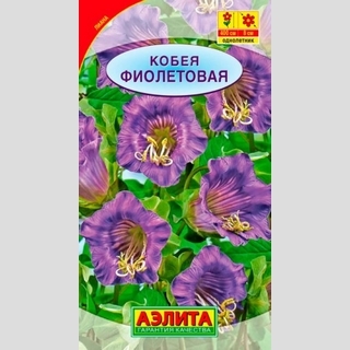 Кобея фиолетовая