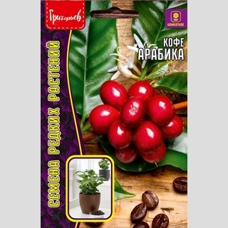 Кофе Арабика (большой пакет)