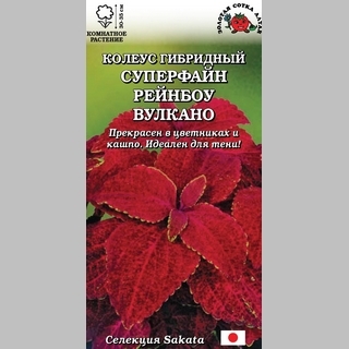 Колеус Суперфайн Рейнбоу Вулкано