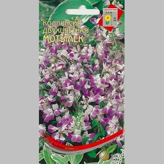 Коллинсия Мотылек