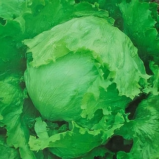 Салат Колобок