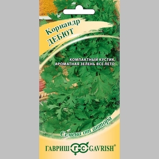 Кориандр Дебют