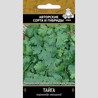 Кориандр Тайга