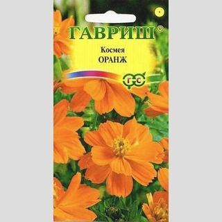 Космея Оранж