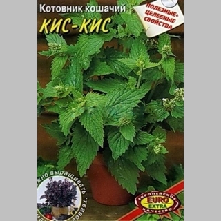 Котовник Кис-кис (Эконом)