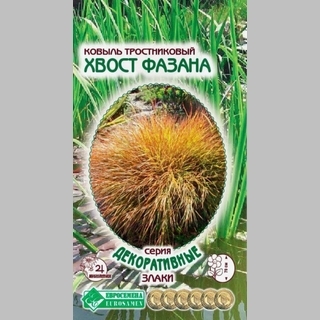 Ковыль Хвост фазана тростниковидный