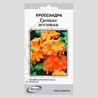 Кроссандра Тропик жёлтая