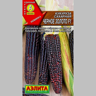Кукуруза Черное золото F1