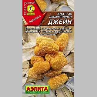 Кукуруза Джейн (декоративная)