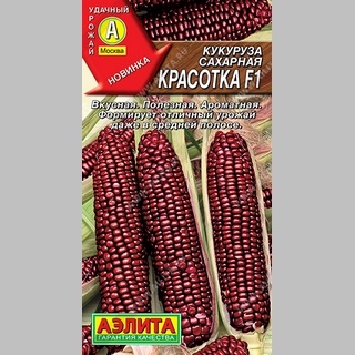 Кукуруза Красотка F1