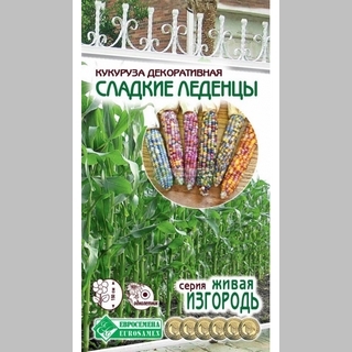 Кукуруза Сладкие леденцы декоративная