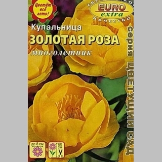 Купальница Золотая роза