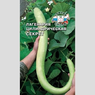 Лагенария Секрет