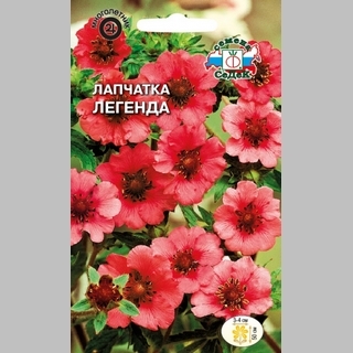 Лапчатка Легенда (непальская)