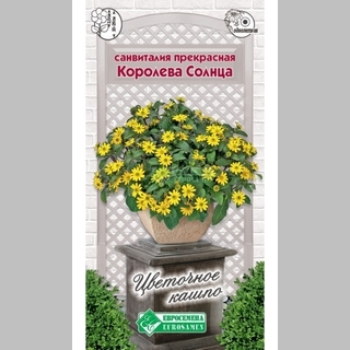 Санвиталия Королева Солнца