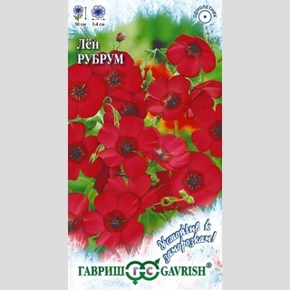 Лен Рубрум крупноцветковый