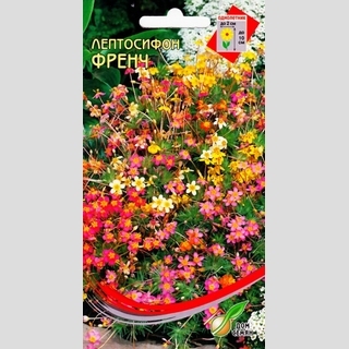 Лептосифон Френч