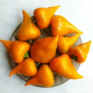 Перец Сердцевидный Леся Жёлтая (большой пакет)