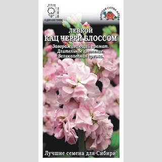 Левкой Кац Черри Блоссом