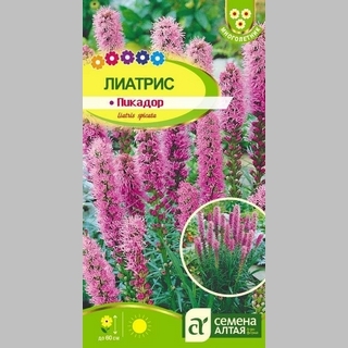Лиатрис Пикадор
