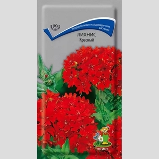 Лихнис Красный