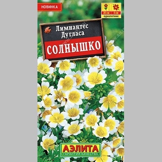 Лимнантес Солнышко