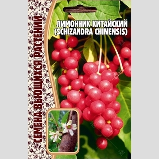 Лимонник китайский (большой пакет)