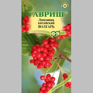 Лимонник Волгарь китайский