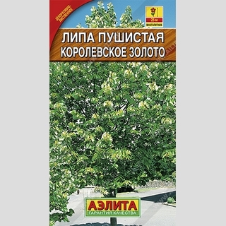 Липа пушистая Королевское золото