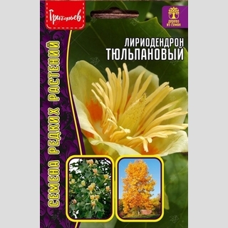Лириодендрон Тюльпановый (большой пакет)