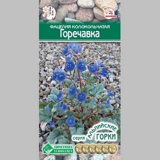 Фацелия Горечавка (колокольчатая)