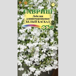Лобелия Белый каскад ампельная